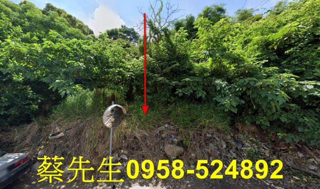 台中沙鹿法拍農地-1