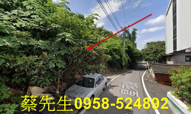 台中沙鹿法拍農地-4
