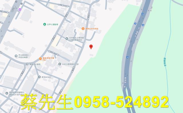 台中沙鹿法拍農地-8