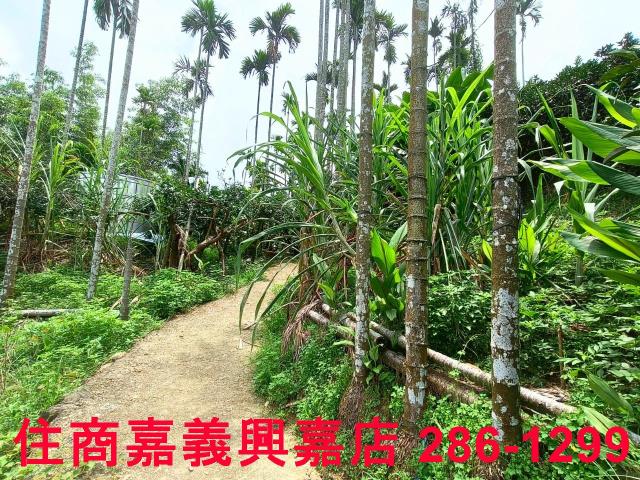 嘉義竹崎農地-10