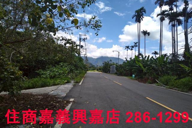 嘉義番路農地-10