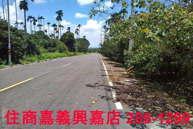 嘉義番路農地-1