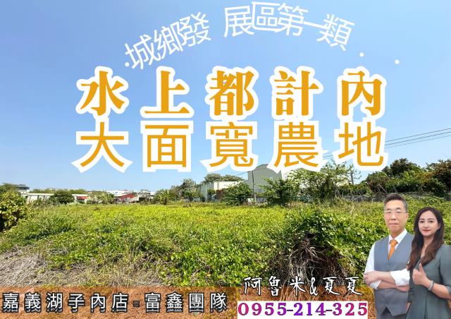 嘉義水上農地-1