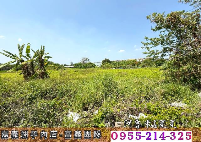 嘉義水上農地-3