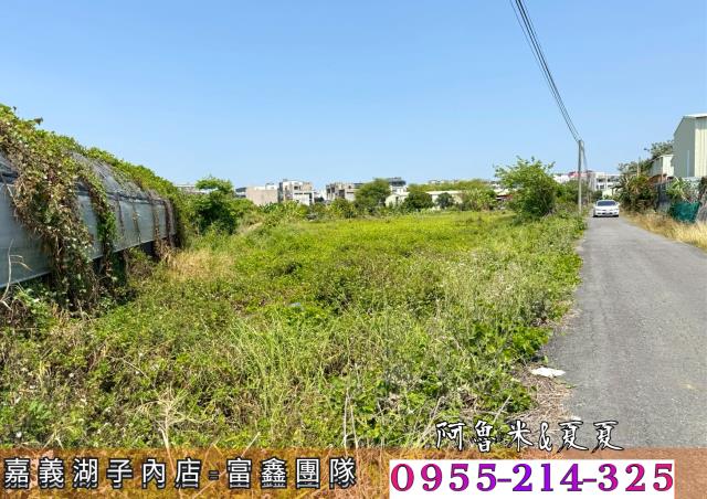 嘉義水上農地-4