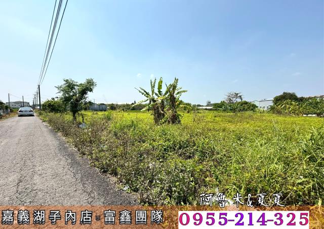 嘉義水上農地-5