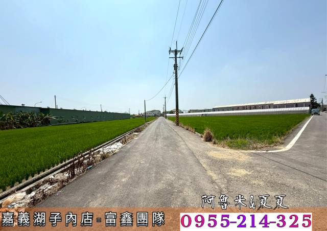 嘉義水上農地-6