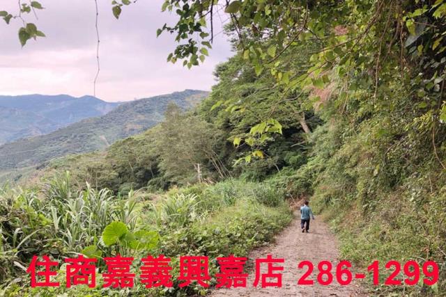 嘉義梅山農地-10