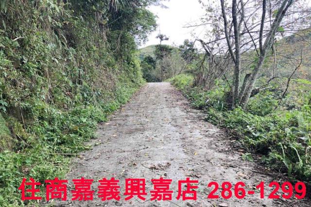 嘉義梅山農地-11