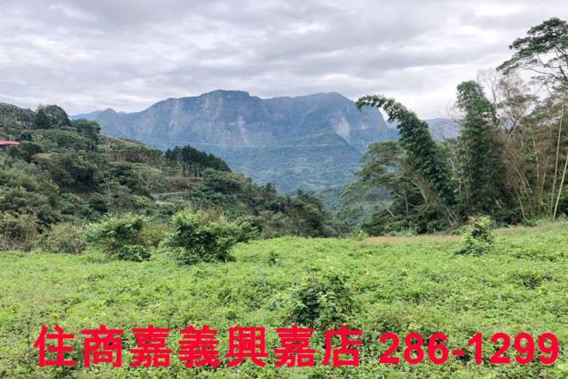 嘉義梅山農地-2
