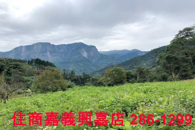 嘉義梅山農地-3