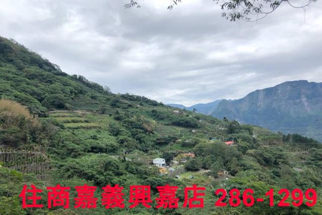 嘉義梅山農地-5