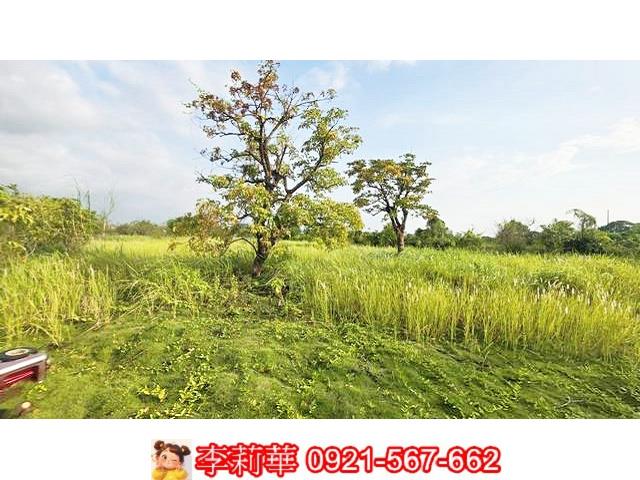 台南安定農地-11