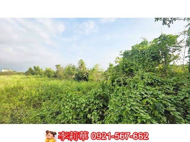 台南安定農地-9