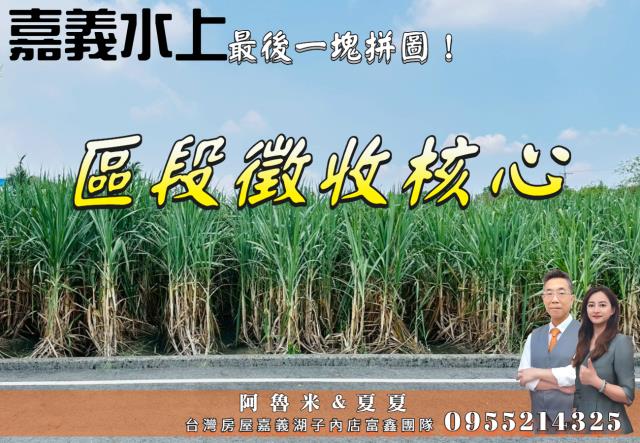 嘉義水上農地-1