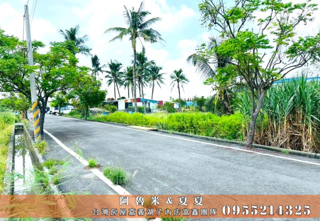 嘉義水上農地-2