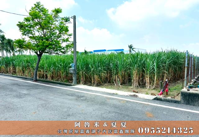 嘉義水上農地-3