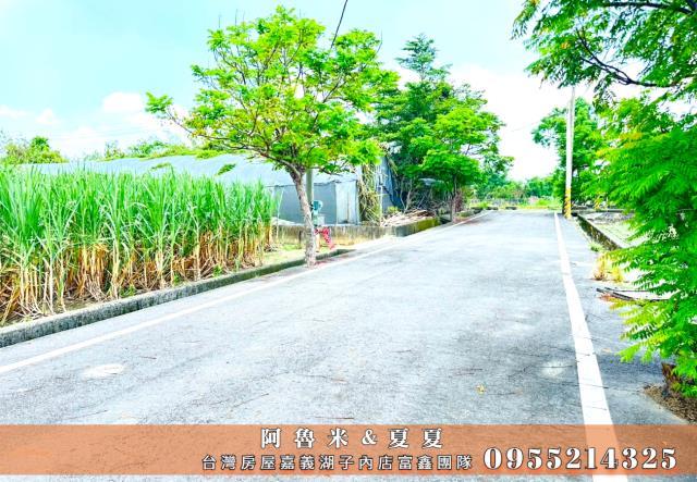 嘉義水上農地-4