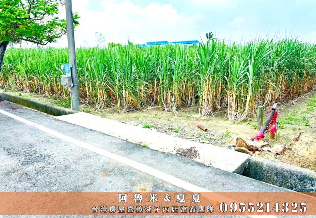 嘉義水上農地-5