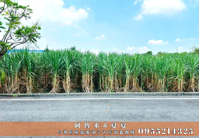 嘉義水上農地-6