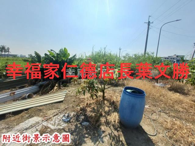 台南安南農地-10