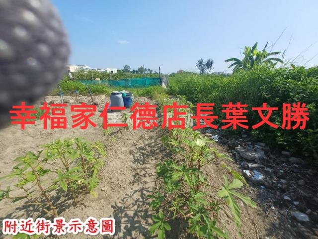 台南安南農地-1