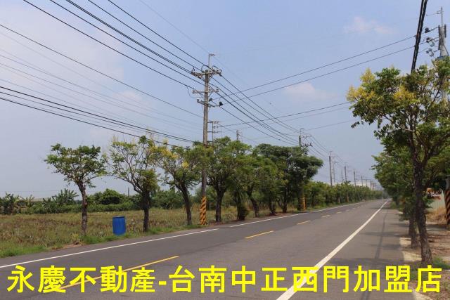 新市農地-11