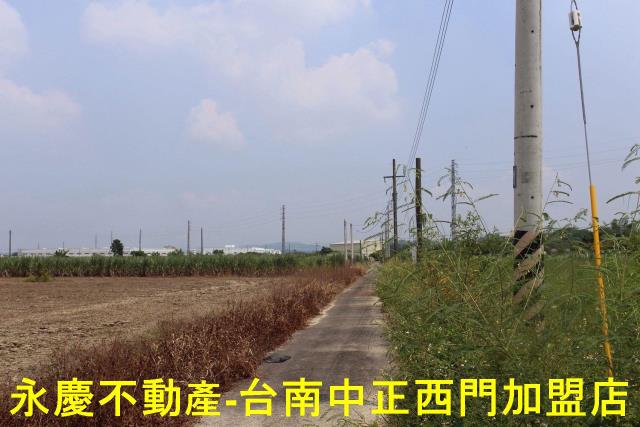 新市農地-12