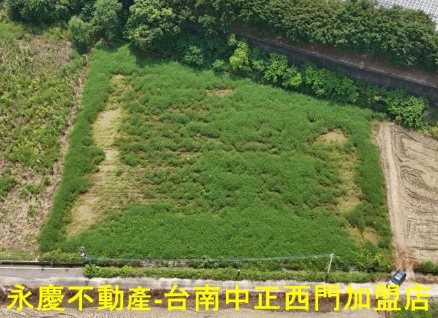 新市農地-1