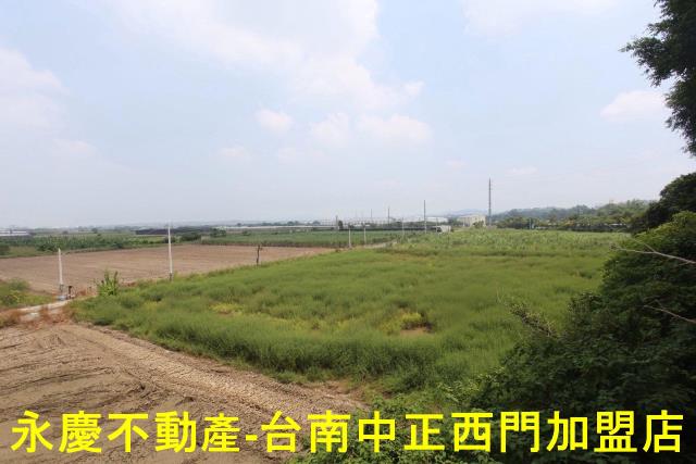 新市農地-5