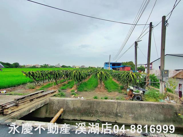 二林農地-1