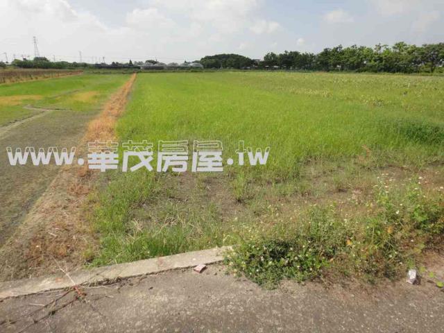 台南學甲農地法拍-3