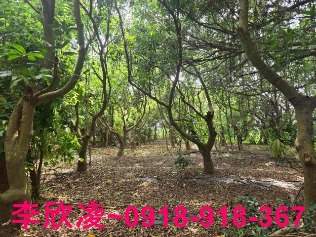 嘉義六腳農地-3