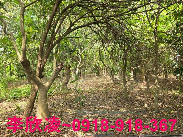 嘉義六腳農地-5