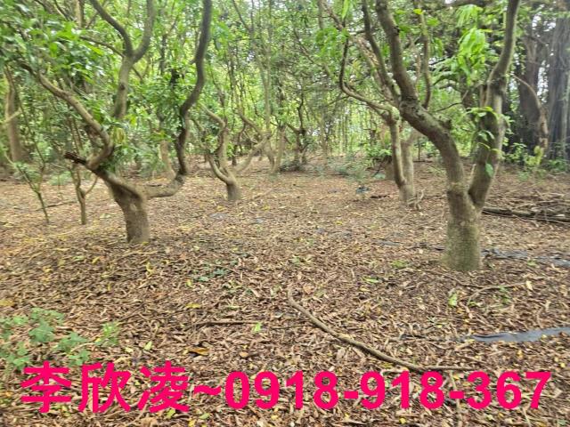 嘉義六腳農地-6