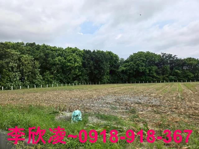 嘉義六腳農地-9