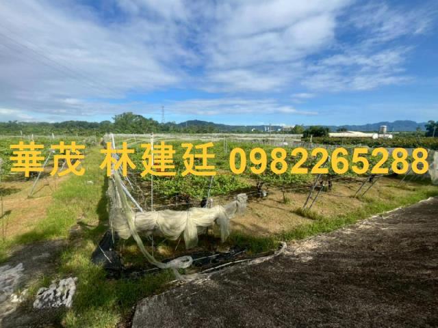 玉井農地法拍-1