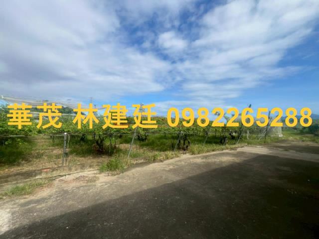 玉井農地法拍-4