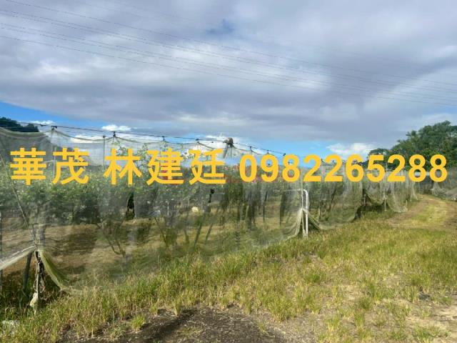 玉井農地法拍-5