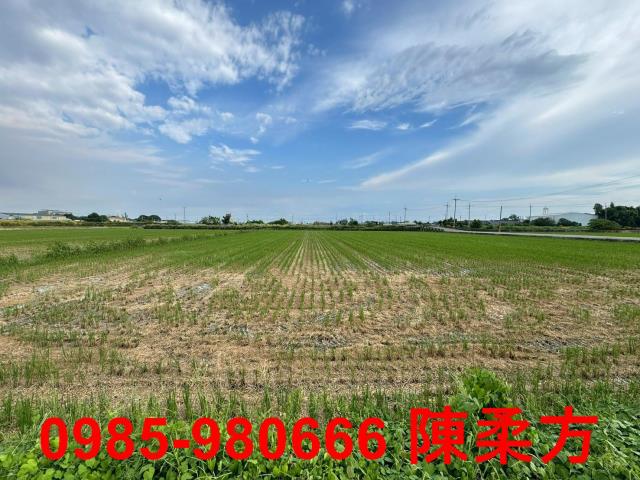 嘉義朴子農地-14