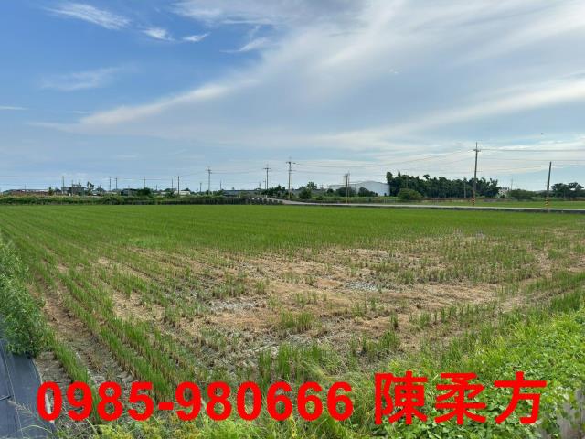 嘉義朴子農地-15