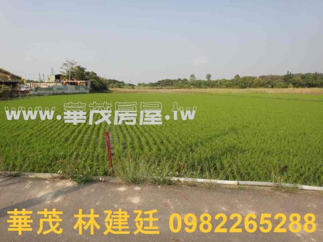 關廟農地法拍-10