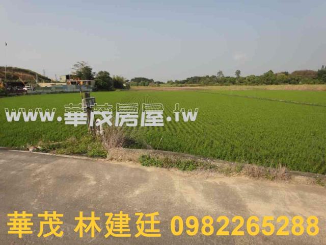 關廟農地法拍-6