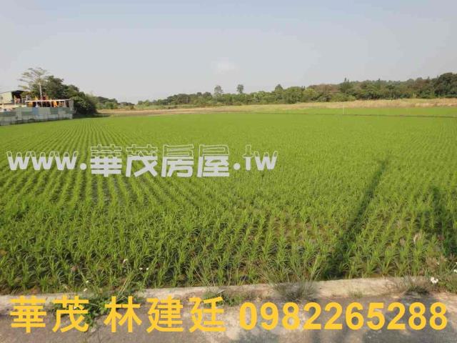 關廟農地法拍-8