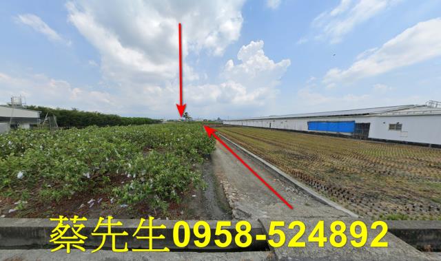 彰化法拍農地-14