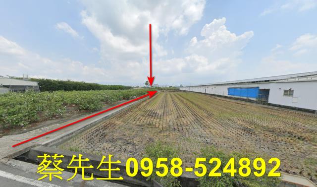 彰化法拍農地-1