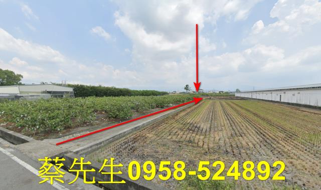 彰化法拍農地-5