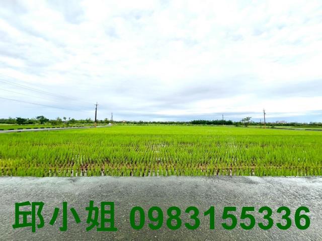 嘉義鹿草農地-1