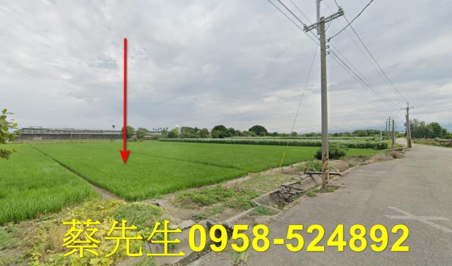 雲林法拍農地-14