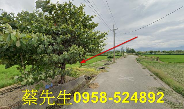 雲林法拍農地-15